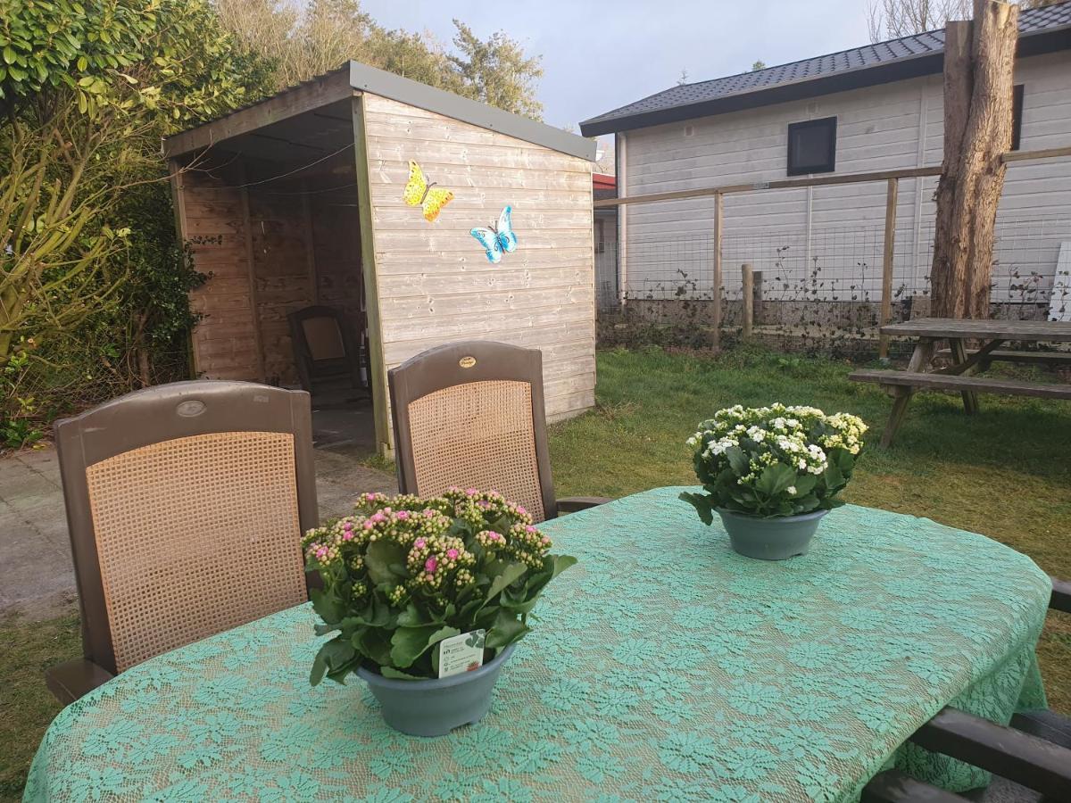 Relax Huisje: Luxe Cottage met Snelle WiFi en Omheinde Tuin Putten Exterior photo