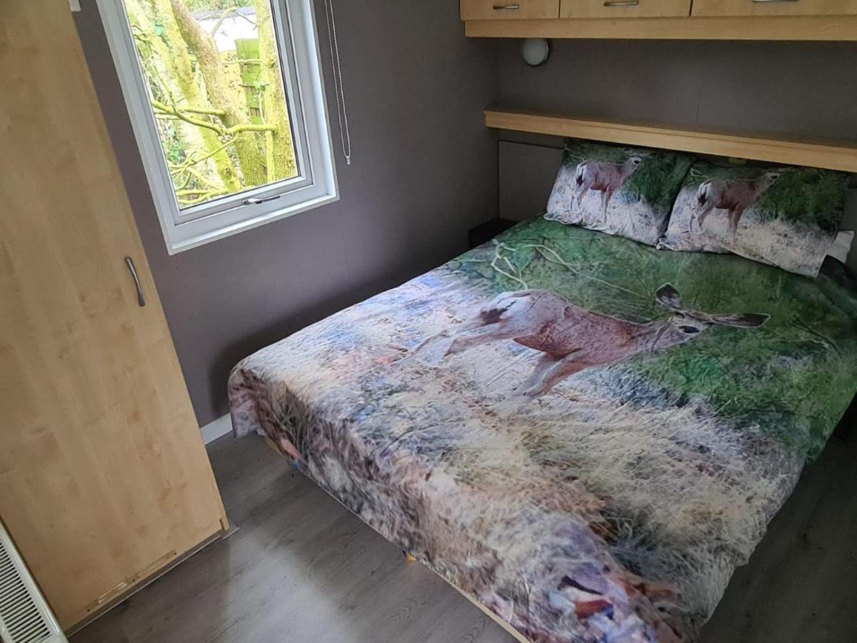 Relax Huisje: Luxe Cottage met Snelle WiFi en Omheinde Tuin Putten Exterior photo